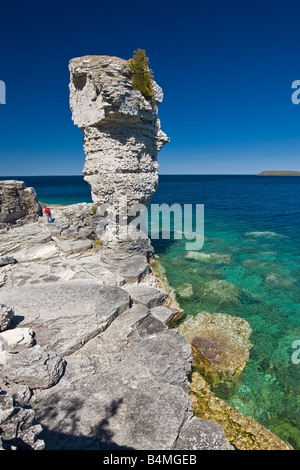 Meer-Stack entlang der Küstenlinie von Blumentopf-Insel in der Fathom Five National Marine Park, Lake Huron, Ontario, Kanada Stockfoto