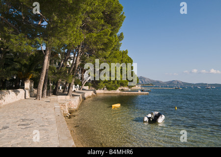 Die Kiefer-Spaziergang am Hafen von Pollensa, Mallorca, Spanien Stockfoto