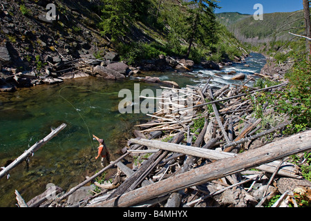 Ein Angler Fliegenfischen North Fork des Blackfoot River in der Nähe von Missoula Montana Stockfoto