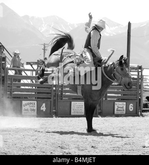 Rodeo Cowboy auf einem Ruckeln bronc Stockfoto