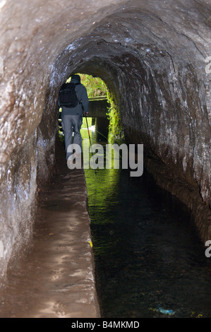 Walker im Tunnel auf der Levada Norte Madeira Stockfoto