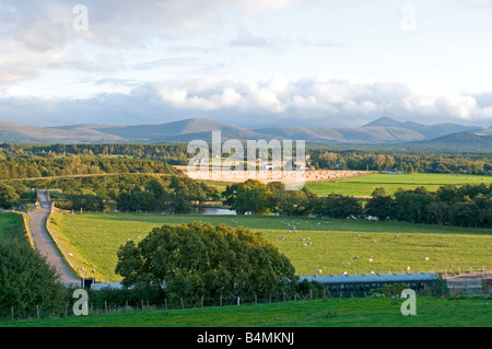 Broomhill Nethybridge ländliche Landschaft durch den River Spey in er Cairngorms National Park Stockfoto