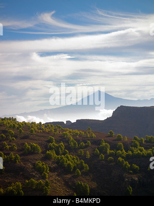 Blick auf den Teide, Teneriffa, La Gomera Stockfoto