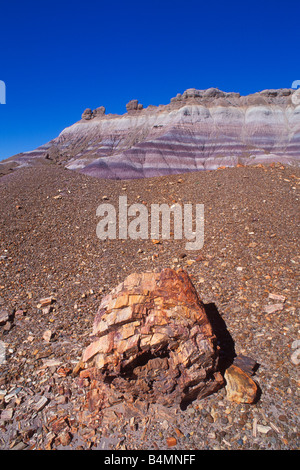 Morgenlicht an bunten Schichten und versteinerten Log Abschnitte über Arizona Blue Mesa Petrified Forest National Park Stockfoto