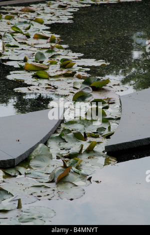 Daily Telegraph Garten; RHS Chelsea Flower Show 2008 Stockfoto