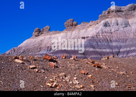 Morgenlicht an bunten Schichten und versteinerten Log Abschnitte über Arizona Blue Mesa Petrified Forest National Park Stockfoto