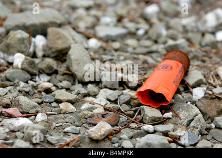 Verwendeten Shell liegen in den Waldboden Stockfoto