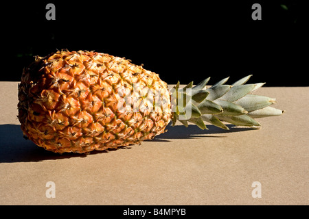 Frische Ananas Stockfoto