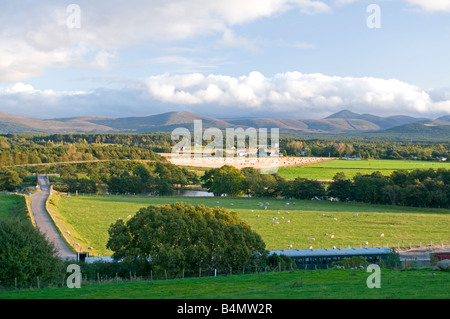 Broomhill Nethybridge ländliche Landschaft durch den River Spey in er Cairngorms National Park Stockfoto