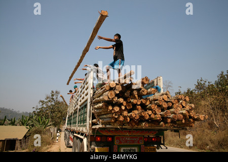 Bauherren entladen-Logs, um mehr Flüchtling Häuser bauen rund 130 000 burmesischen Flüchtlinge siedelten in Thailand wegen Unterdrückung in ihrer Heimat Myanmar Burma etwa 30 000 Flüchtlinge leben heute im Westen Thailands Mae Sot und humanitäre Hilfe zu erhalten eine andere 200 birmanischen Flüchtlinge in La unterstützen pro Her ein Dorf auf der burmesische Seite der Grenze zu Thailand den Müll niedergelassen haben zu überqueren, weil sie in ihrer Heimat bleiben diese Flüchtlinge wollen unterstützen die Rebellenbewegung Straflosigkeit Karen National Liberation Army betreibt in östlichen Birma Jan 2007 Stockfoto