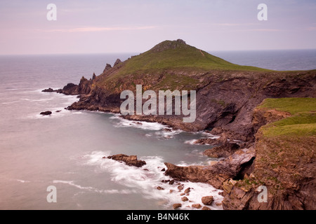 Der Bürzel unter der Leitung des National Trust in Pentire Point North Cornwall Stockfoto