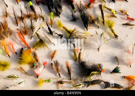 Auswahl von Fischen Stockfoto