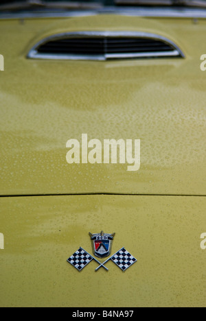 Die Haube Abzeichen und Kugel ein 50er Jahre Ford Thunderbird in gelb. Stockfoto