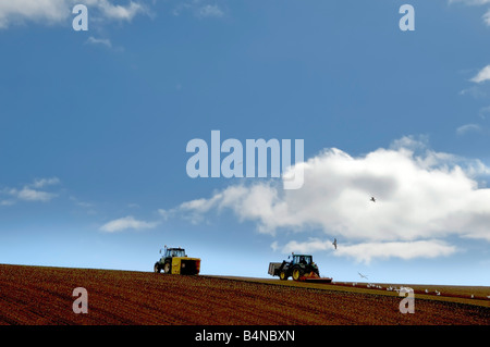 Traktor Aussaat ein brachliegender Acker Stockfoto