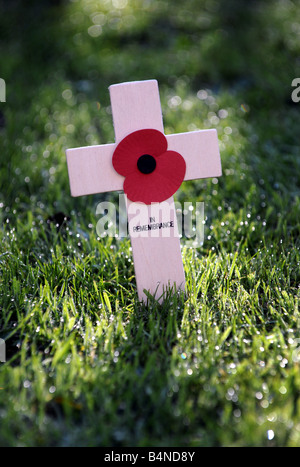 EINE BRITISCHE ERINNERUNG MOHN AM KREUZ IM FELD GRAS. Stockfoto