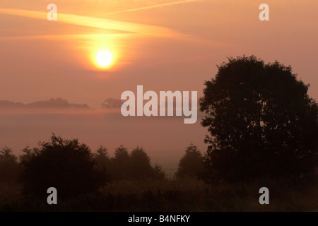 Nebligen Sonnenaufgang über dem Sumpf Land auf den Norfolk Broads Stockfoto