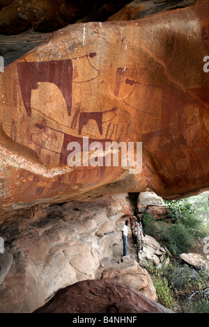 Höhlenmalereien Sie in Lass Geel Höhlen, Somaliland, Somalia Stockfoto