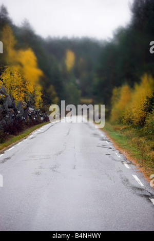 Blick auf nasser Fahrbahn in Telemark Norwegen eine Fensterfront Trainer entnommen Stockfoto
