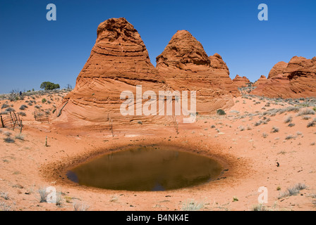 Paw Hole, Coyote Buttes South, Paria Canyon-Vermilion Cliffs Wilderness, Vermilion Cliffs National Monument, Arizona Stockfoto