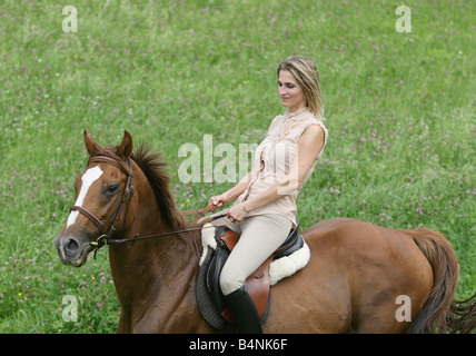 Hübsche blonde Frau sitzt auf braunen Pferd auf einer grünen Wiese Stockfoto