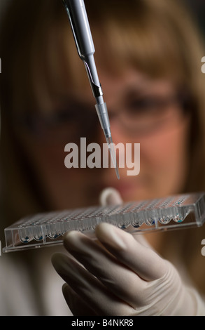 Eine Laborantin Forschung experimentiert mit einer pipette Stockfoto