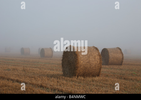 Heuballen im Nebel in der Norfolk-Landschaft in der Dämmerung Stockfoto