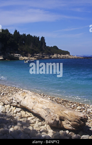 Treibholz, verstreut über Monodendri Beach in der griechischen Ionischen Insel Paxos Stockfoto