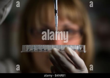 Eine Laborantin Forschung experimentiert mit einer pipette Stockfoto