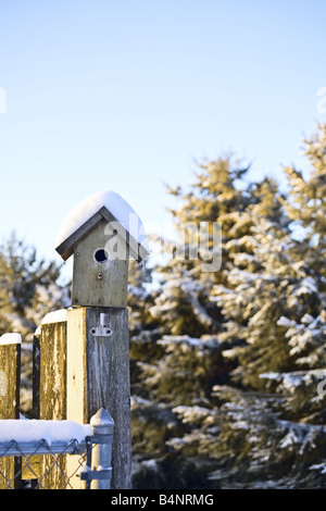 Ein schneebedecktes Vogelhaus liegt auf einem in der Winterkälte verlassenen Zaunpfosten. Stockfoto