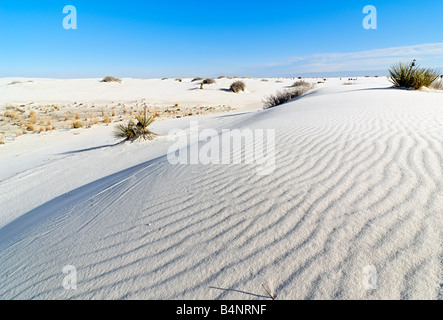 Am frühen Morgen Blick auf die Sanddünen im White Sands National Monument Stockfoto