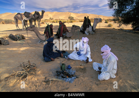 Algerien in der Nähe von Djanet Männer der Tuareg Stamm und Kamel-Karawane machen Tee Sahara Stockfoto