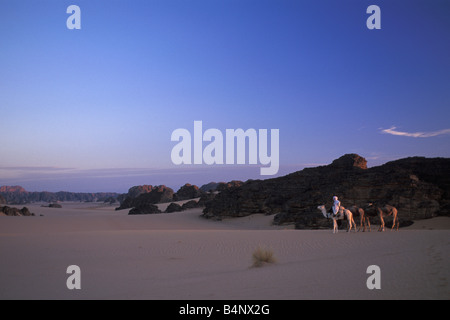 Algerien in der Nähe von Djanet Mann der Tuareg Stamm und Kamel-Karawane Wüste Sahara Stockfoto