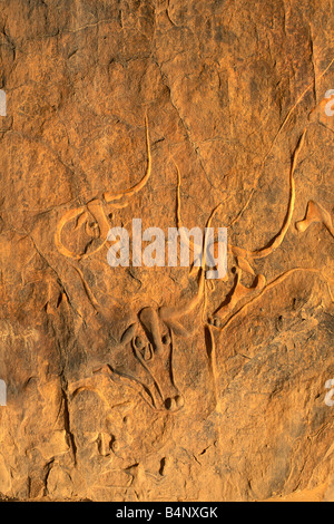 Algerien Djanet NP Tassili n Ajjer UNESCO World Heritage Site prähistorischen Felsgravuren die WEINENDE Kuh Sahara Wüste Stockfoto