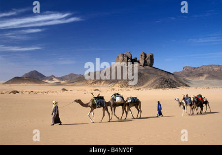 Algerien in der Nähe von Djanet Männer der Tuareg Stamm und Sahara Kamel-Karawane Stockfoto