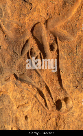 Algerien Djanet Nationalpark Tassili n Ajjer UNESCO World Heritage Site prähistorischen Felsgravuren die WEINENDE Kuh Sahara Stockfoto