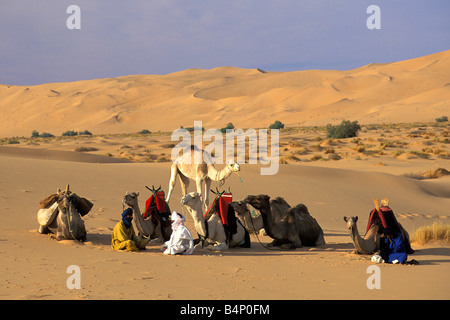 Algerien Djanet Männer der Tuareg Stamm und Kamel-Karawane ruhen Sahara Stockfoto