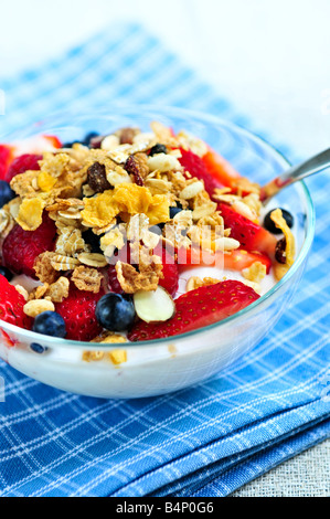 Portion Joghurt mit frischen Beeren und Müsli Stockfoto