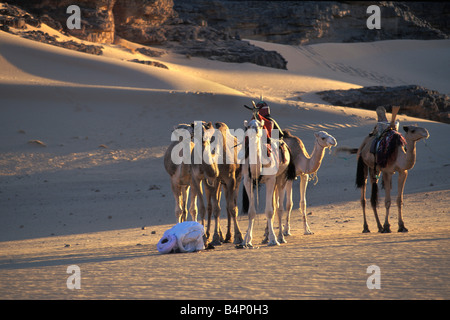Algerien Djanet Männer der Tuareg Stamm und beten Sahara Kamel-Karawane Stockfoto