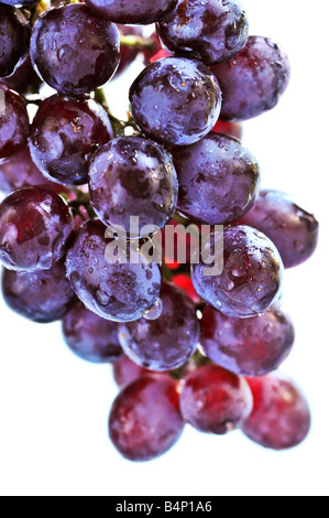 Cluster von roten Trauben schließen upi auf weißem Hintergrund Stockfoto