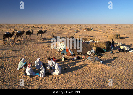 Algerien Touggourt Beduinen-Familie vor ihrem Zelt und Kamele Wüste Sahara Stockfoto