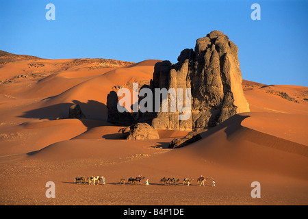 Algerien in der Nähe von Djanet Männer der Tuareg Stamm Kamel-Karawane Wüste Sahara Stockfoto