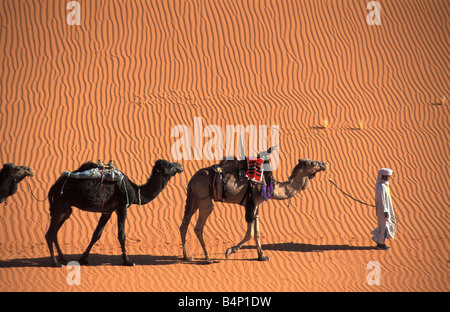 Algerien in der Nähe von Djanet Männer der Tuareg Stamm Kamel-Karawane Wüste Sahara Stockfoto