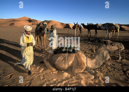 Algerien in der Nähe von Djanet Mann der Tuareg Stamm Kamel-Karawane laden Kamele Wüste Sahara Stockfoto