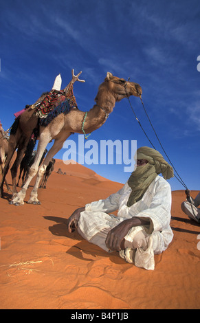 Algerien in der Nähe von Djanet Mann der Tuareg Stamm auf seinen Kamelen Kamel-Karawane Wüste Sahara Stockfoto