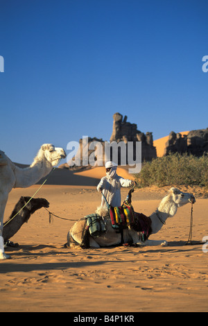 Algerien Djanet Männer der Tuareg Stamm Kamel-Karawane Zusatzlösungen Kamele Wüste Sahara Stockfoto