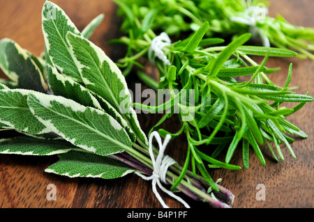 Trauben von verschiedene frische Kräuter hautnah auf Holzbrett Stockfoto