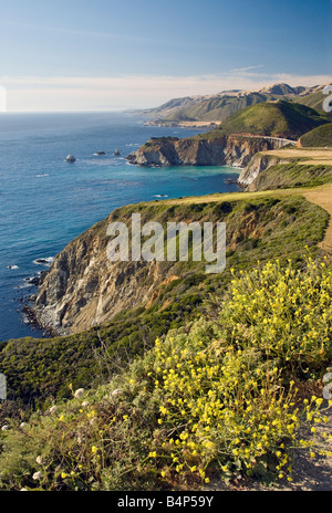 Blick vom Hurricane Point Bixby Creek Bridge am Highway 1 in Entfernung Ackersenf Blumen Big Sur, Kalifornien USA Stockfoto