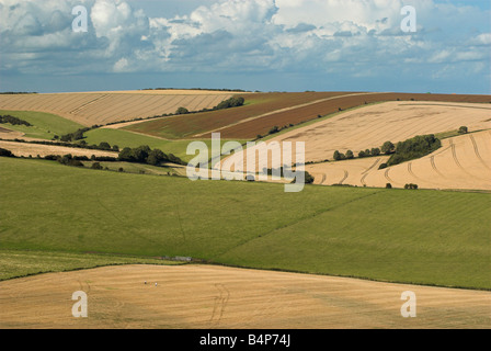 Aussehende nordöstlich von Cissbury Ring über den South Downs in West Sussex. Stockfoto