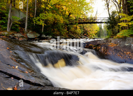 Herbst in Arrowhead Provincial Park Ontario Stockfoto