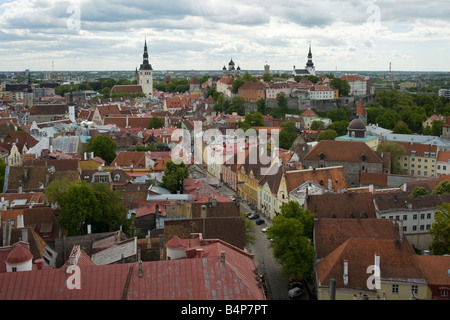 Gesamtansicht der Altstadt von Tallinn aus den Kirchturm von St. Olavs Kirche, Tallinn, Estland Stockfoto